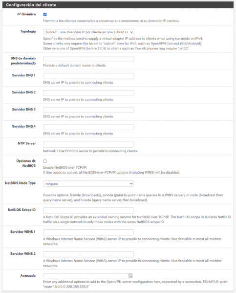 Archivo:06-Cliente VPN.png